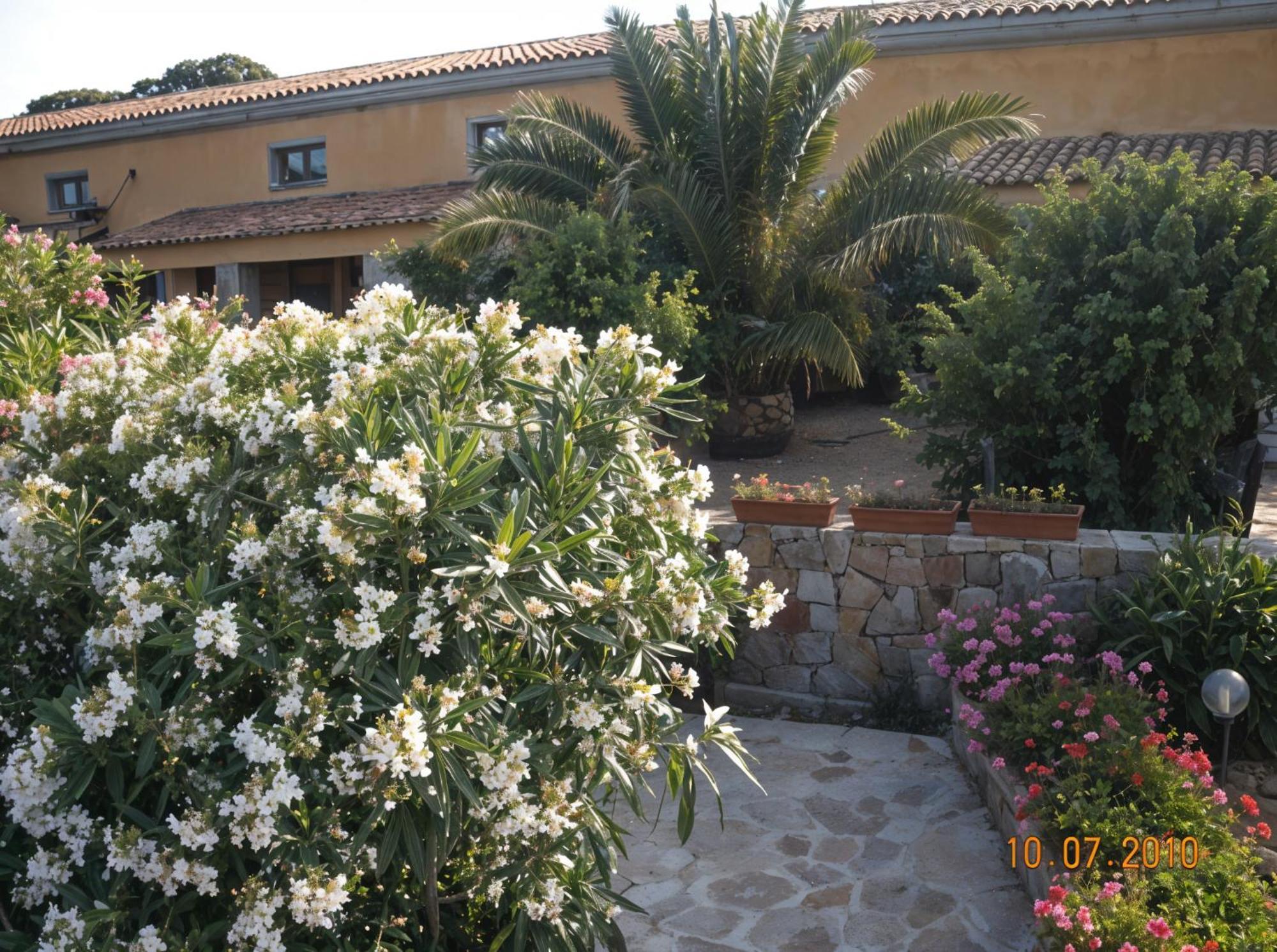 Agriturismo Lu Colbu Trinità dʼAgultu エクステリア 写真